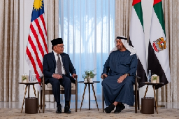 PM Anwar granted audience with UAE president, discusses bilateral ties