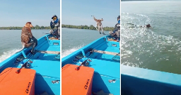 Proboscis Monkey Hitches Ride on Fishing Boat in Sarawak, Jumps Before Reaching Destination