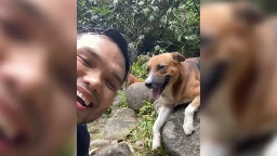 Khairul Aming shares hiking encounter with furry ‘tour guides’