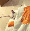 OyenFuton